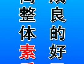 7S 素養(yǎng)